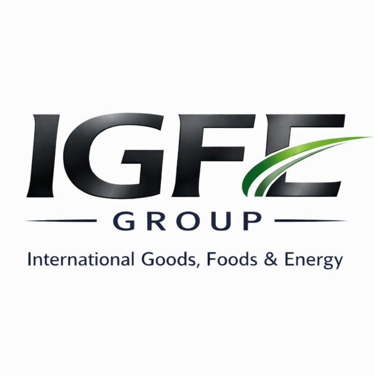 IGFE GROUP logo